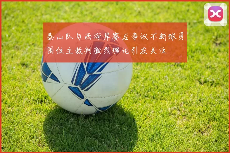泰山队与西海岸赛后争议不断球员围住主裁判激烈理论引发关注