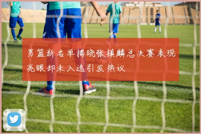 男篮新名单揭晓张镇麟总决赛表现亮眼却未入选引发热议