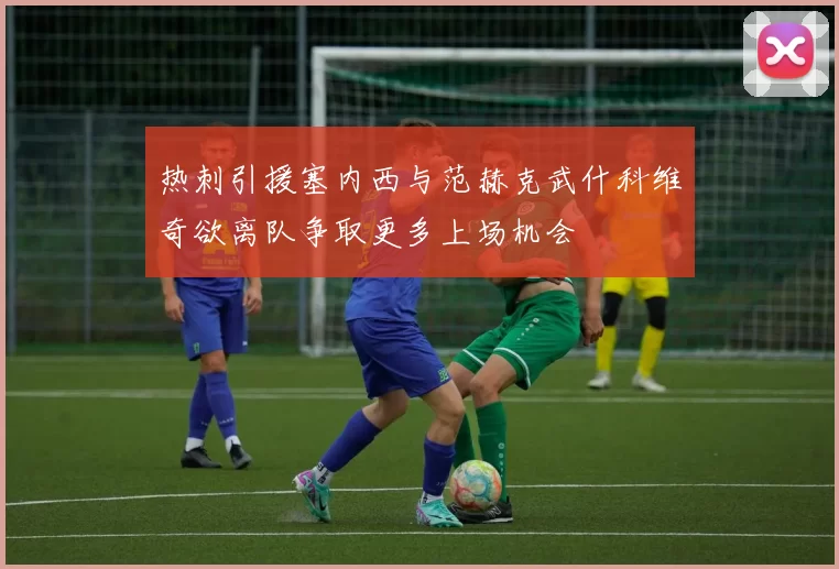 热刺引援塞内西与范赫克武什科维奇欲离队争取更多上场机会